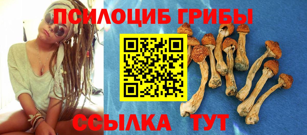 Галлюциногенные грибы прущие грибы Киров